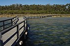 Lake clifton gnangarra 03.jpg