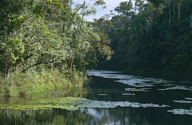 File:Lake in the Forest (9654494115).jpg