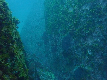 Large gully at the Labyrinth reef