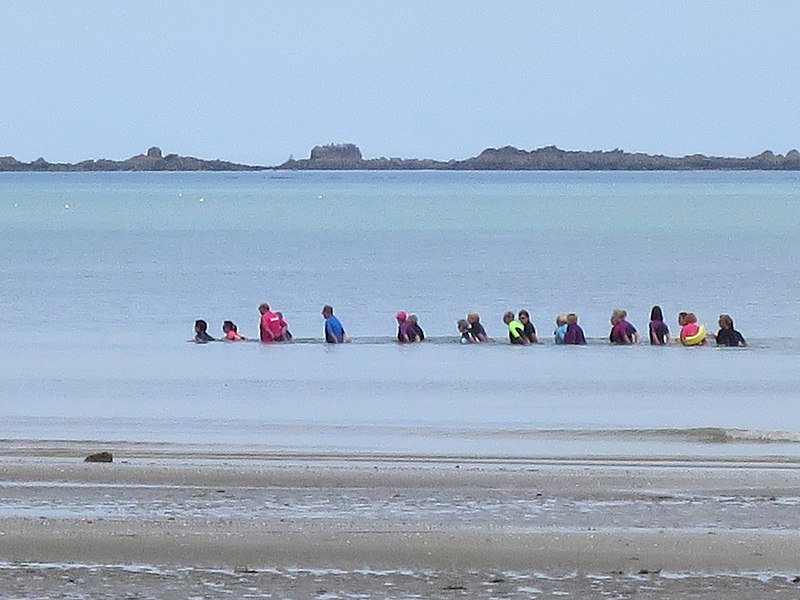 File:Le longe-côte ou la marche en mer.jpg