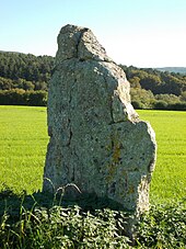 Menhir d'Ozo