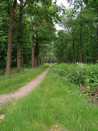 Hoe gaan naar Liesbos met het openbaar vervoer - Over de plek