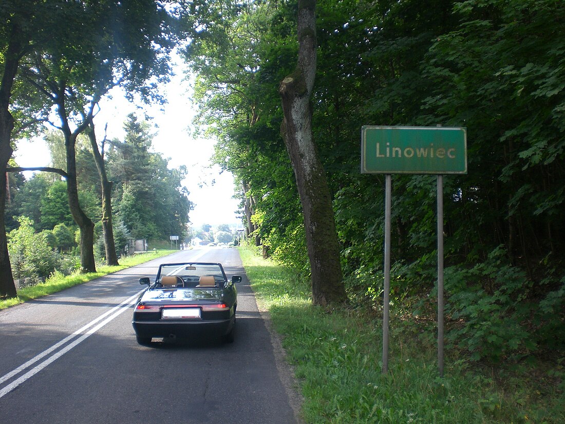 Linowiec (Poméranie)