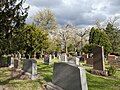 Thumbnail for Lithuanian National Cemetery