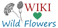 Logo of Wiki Loves Wild Flowers.png