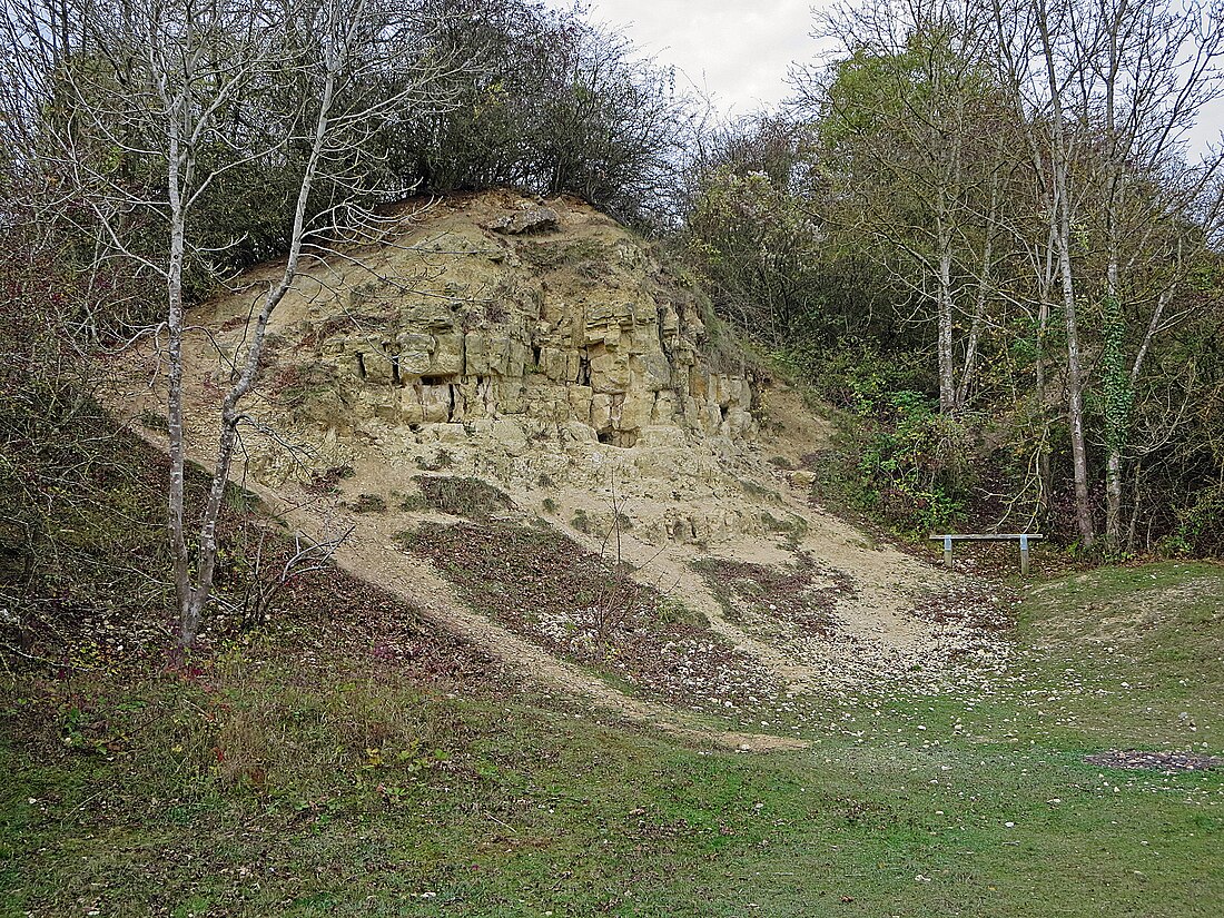 File:Lower face at Kirtlington Quarry (geograph 4225329).jpg