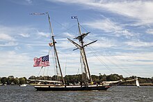 Lynx on the Chester River at Chestertown, Maryland in 2017. Lynx Chester River MD1.jpg