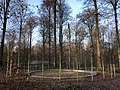 Birkenkreis im Forêt de Soignes/Zoniënwoud in Brüssel als Platz der Stille und Meditation