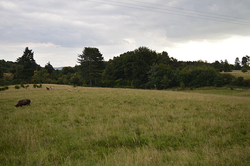 File:Maulden Heath east 3.JPG