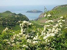 Middle Mouse (Ynys Badrig) as seen from Anglesey (Ynys Mon) MiddleMouse.jpg