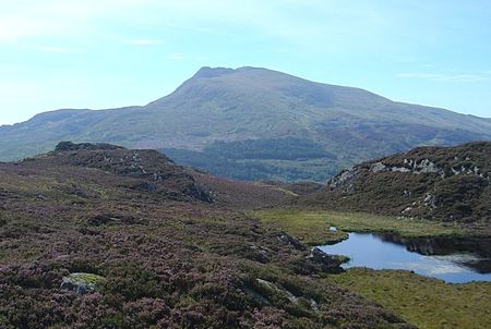 MoelSiabod