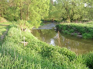 Moravian Thaya in Dačice-Hradišťko