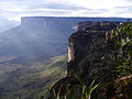 The Roraima Falls