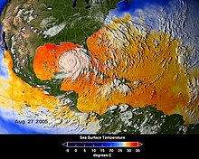 Average sea surface temperatures for the Caribbean Atlantic Ocean (25-27 August 2005). Hurricane Katrina is seen just above Cuba. NASA ASMR-E image of average SSTs of Hurricane Katrina.jpg