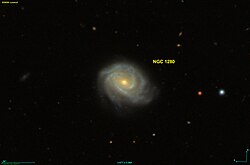 NGC 1280 SDSS.jpg