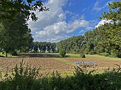 landwirtschaftliche Nutzfläche im NSG