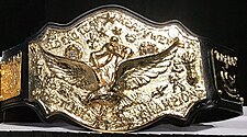 An image of the NWA World Tag Team Championship เอ็นดับเบิลยูเอ เวิลด์ แท็กทีม แชมเปียนชิป.