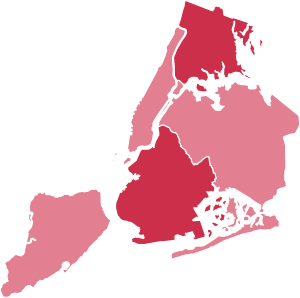NYC Mayoral Election 1937.svg
