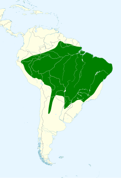 Distribución geográfica del piojito pardo.