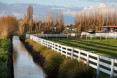 Rural landscape. New Zealand, 2006