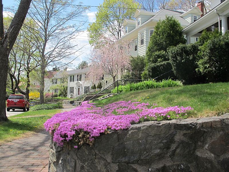 File:Orland Street, Portland Maine.jpg