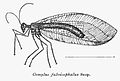 Hình xem trước của phiên bản lúc 12:59, ngày 4 tháng 4 năm 2009