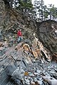 Anticline and quartz veins