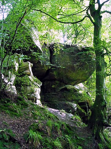 File:Overhang in Calderglen - geograph.org.uk - 919410.jpg