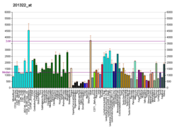 PBB GE ATP5B 201322 at fs.png