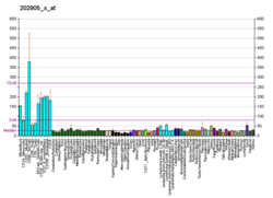 PBB GE NBN 202905 x at fs.png