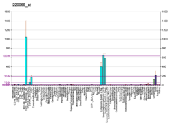 PBB GE VPREB3 220068 fs.png'de