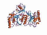 1cmx​: Strukturna baza za specifičnost F ubikvitin -{C}--terminalne hidrolaze