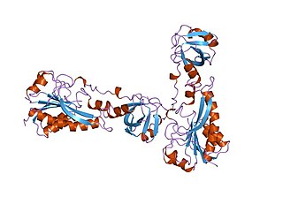 <span class="mw-page-title-main">Methionyl-tRNA formyltransferase</span>