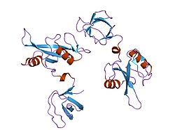 PDB 1g83 EBI.jpg