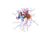 PDB 1ujr EBI.jpg