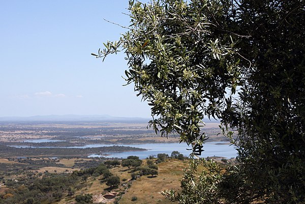 View of the Alqueva Reservoir on the Guadiana from one of the many hills