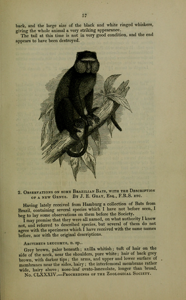 File:PZSL1848Page057.png