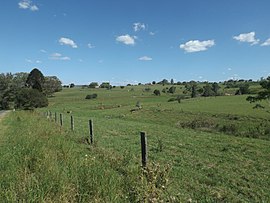 Paddocks entlang der Kents Pocket Road bei Templin Queensland.jpg