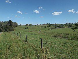 Templin Queensland'da Kents Pocket Road boyunca padoklar.jpg