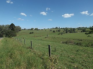 <span class="mw-page-title-main">Templin, Queensland</span> Suburb of Scenic Rim Region, Queensland, Australia