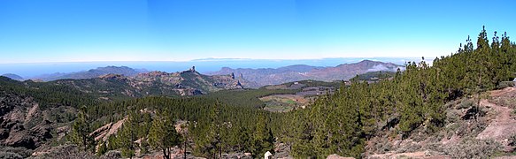 Forêt dans les îles Canaries