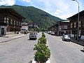 Paro Town