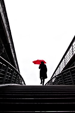 La passerelle Léopold-Sédar-Senghor à Paris.