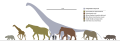 "Patagotitan_vs_Mammals_Scale_Diagram_SVG_Steveoc86.svg" by User:Steveoc 86