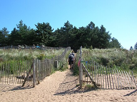 Holkham beach