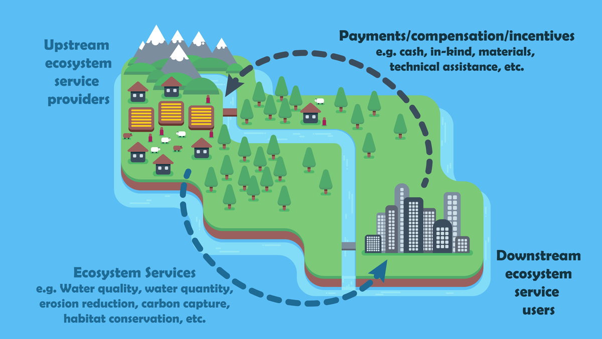 Payment for ecosystem services - Wikipedia