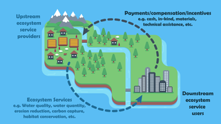 Payment for ecosystem services