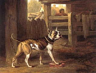 Philip Reinagle - Bulldog.jpg