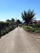 Varios peregrinos entre Montefiascone y Viterbo.