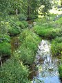 Polski: Rzeka Kumiałka w Janowie, gmina Janów, podlaskie English: Kumiałka river in Janów, gmina Janów, podlaskie, Poland